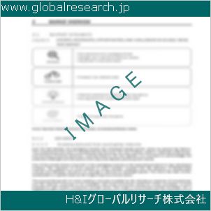 グローバルリサーチ調査資料のイメージ